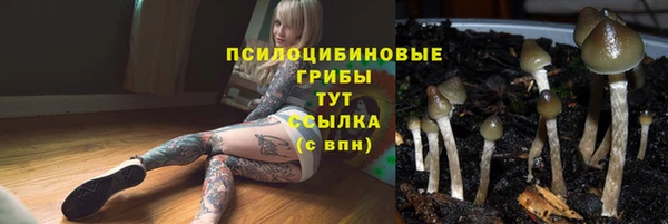 MDMA Premium VHQ Беломорск