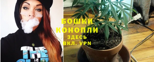 эйфоретик Белокуриха